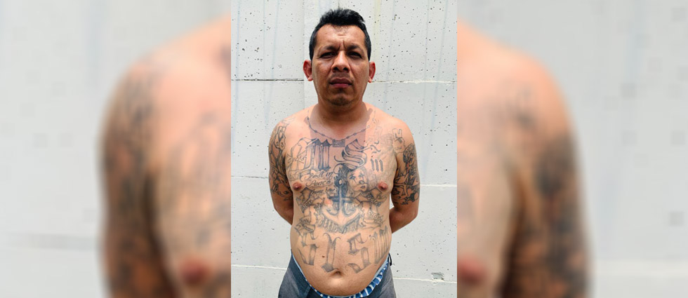Arrestan a peligroso homeboy de la MS-13 con antecedentes por asesinato