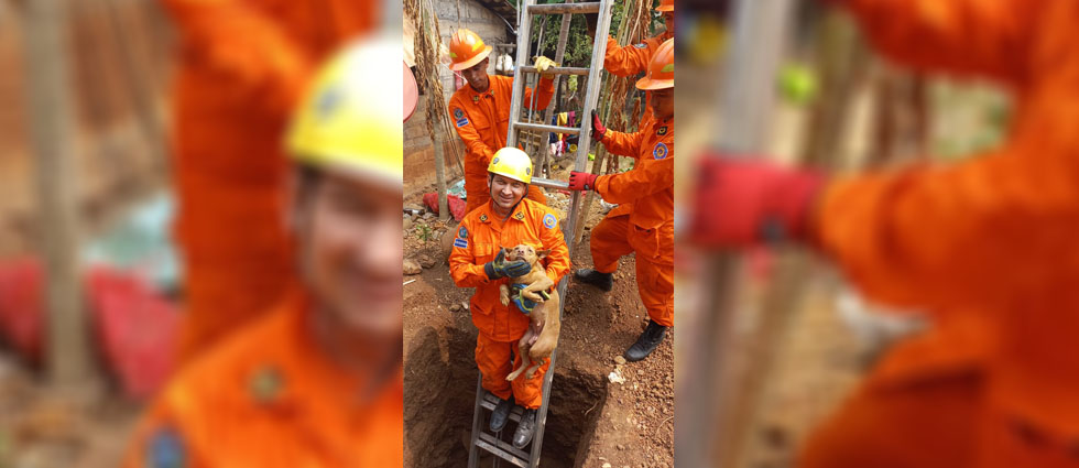 Rescatan a perrita que cayó a pozo de 5 metros de profundidad