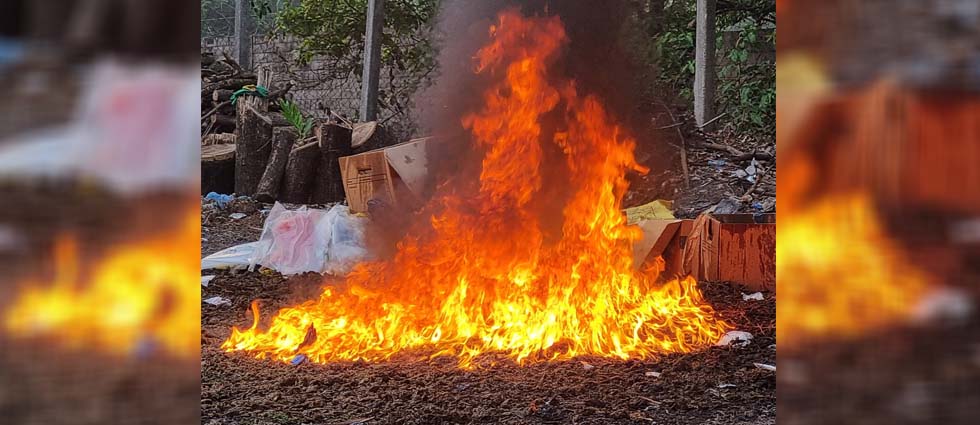 FGR destruye droga valorada en más de 36 mil dólares