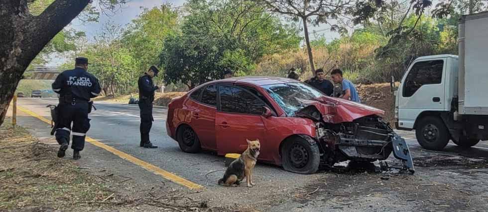 Conductora acaba lesionada tras chocar contra un árbol