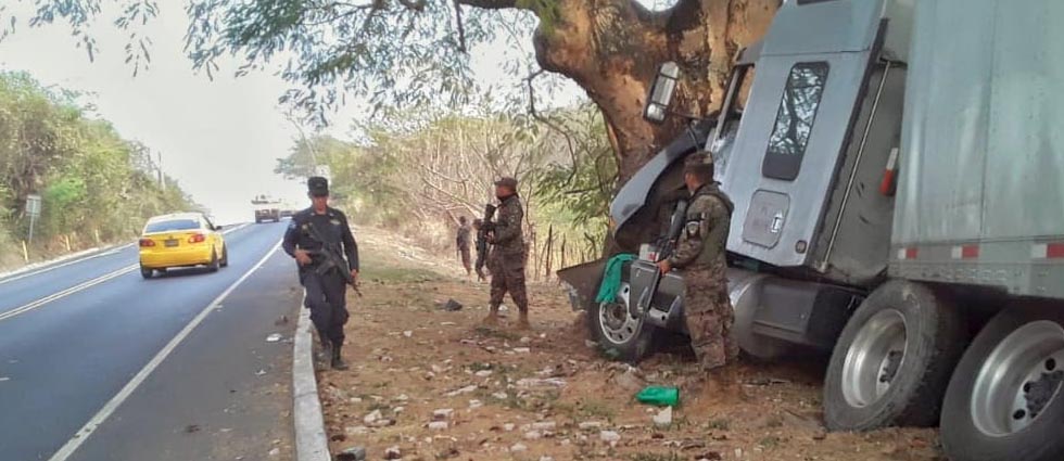 Abejas atacan a conductor y se estrella contra un árbol