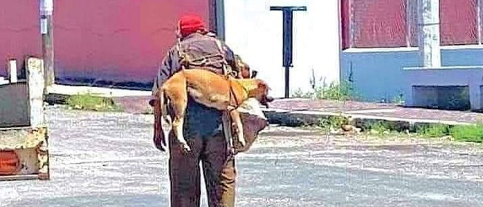 Abuelito es viral por cargar a su perrito para que no se queme las patitas con el pavimento