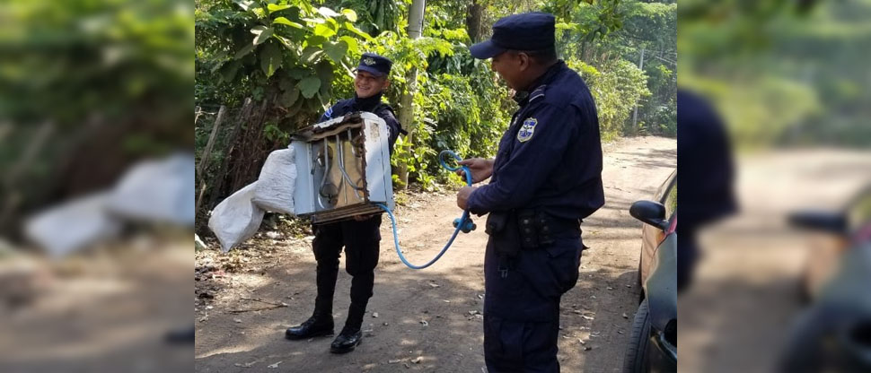 Culebra se mete hasta la cocina de una vivienda en Izalco