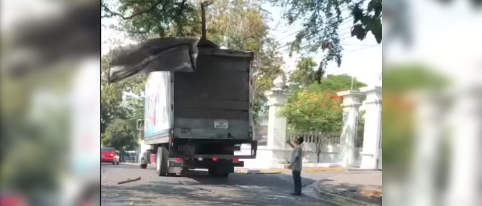 Error de cálculo: Furgón pierde el techo tras quedar atorado en las ramas de un árbol