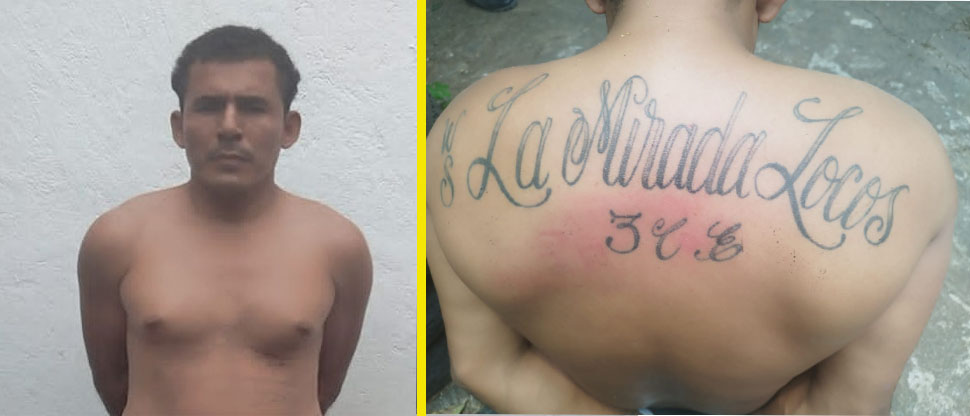 Cae pandillero del barrio 18 alias Charrita quien se escondía en la zona rural de San Miguel