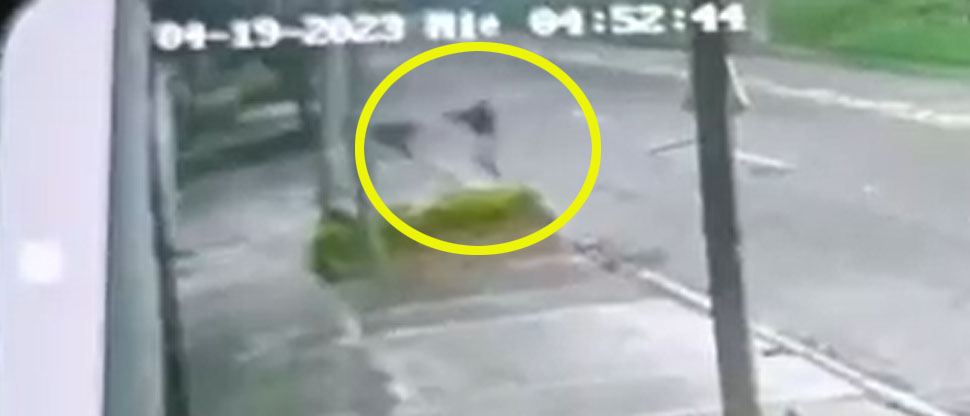 3 ladrones le roban la bicicleta a un hombre y este le quita la vida a un delincuente en Colombia