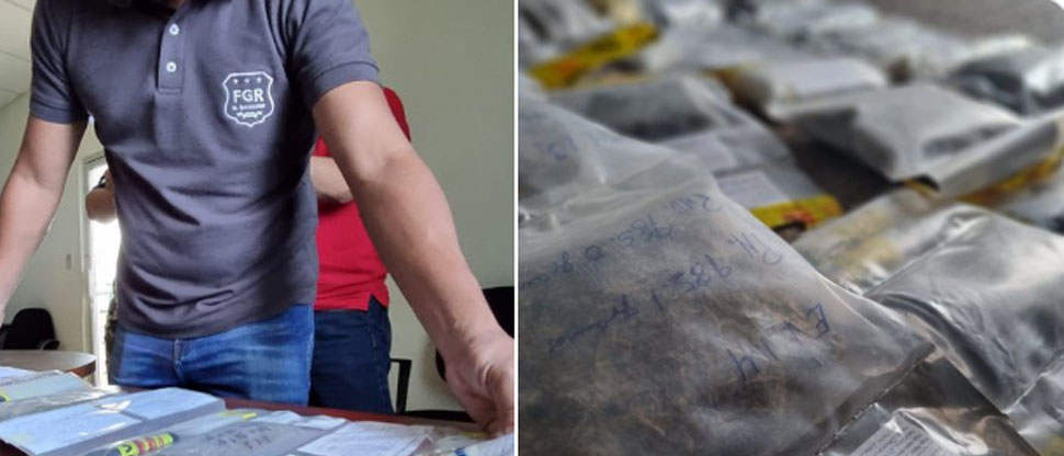 FGR verifica destrucción de droga incautada en 29 operaciones ejecutadas en el oriente del país