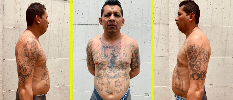 Cae homeboy de la MS de San Miguel y que movió a Colón para evadir el régimen de excepción