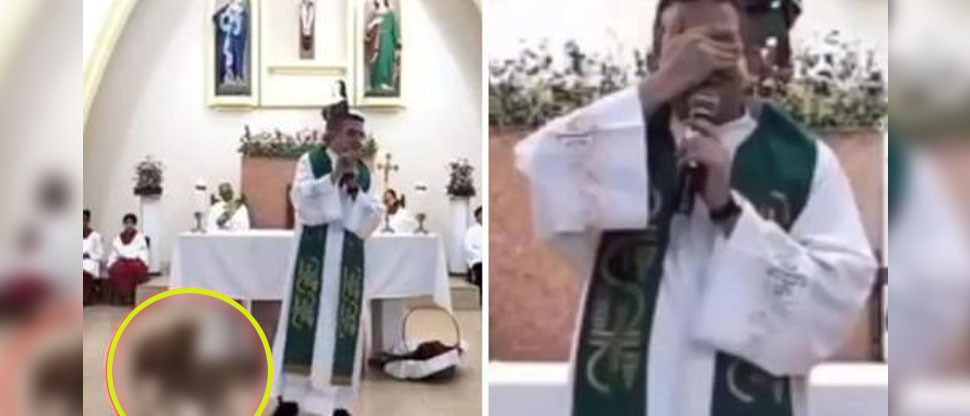 Sacerdote se tapa los ojos luego que perros se aparean en plena misa