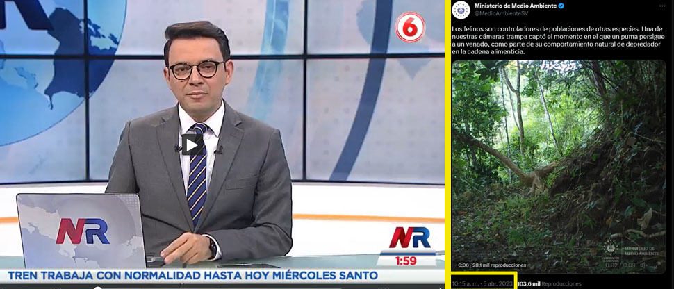 Noticiero costarricense se roba video de El Salvador y dice que es grabado en Costa Rica