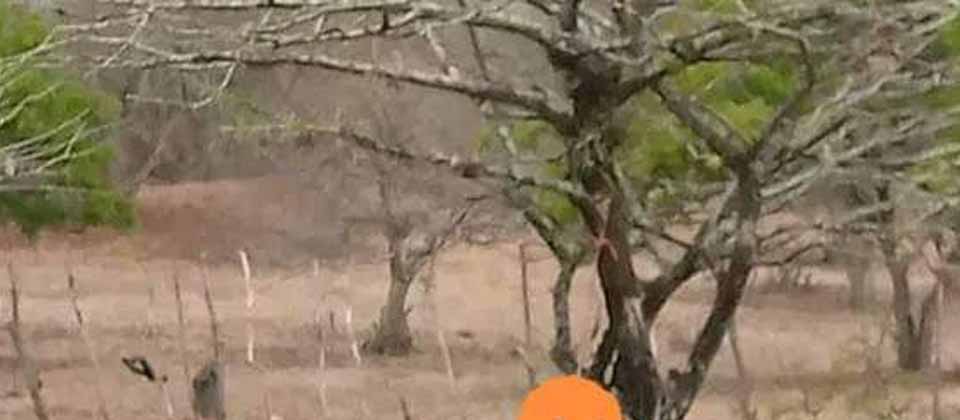 Un joven decide quitarse la vida en Pasaquina, La Unión