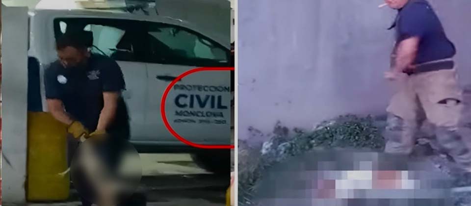 Grupo de bomberos captados en video matando animales sin piedad en México