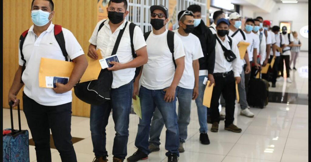 Nuevo grupo de trabajadores salvadoreños viaja este lunes a Canadá