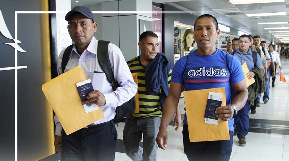 Este miércoles sale un nuevo contingente de trabajadores salvadoreños hacia Canadá