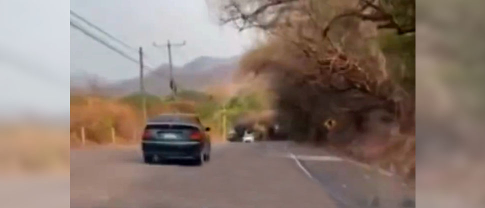 VIDEO: Captan a conductor ebrio que pudo ocasionar fatal accidente