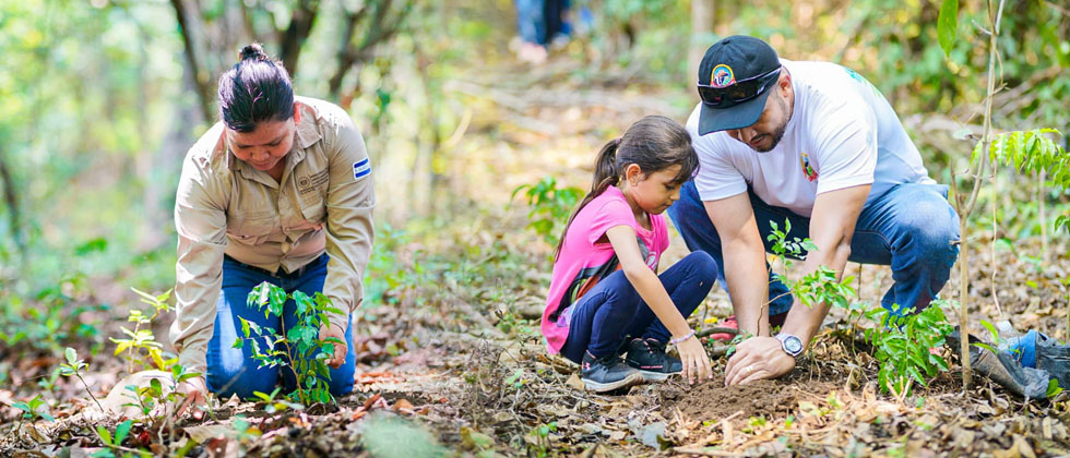 Guardarrecursos del MARN y empresa privada desarrollan jornada de arborización  