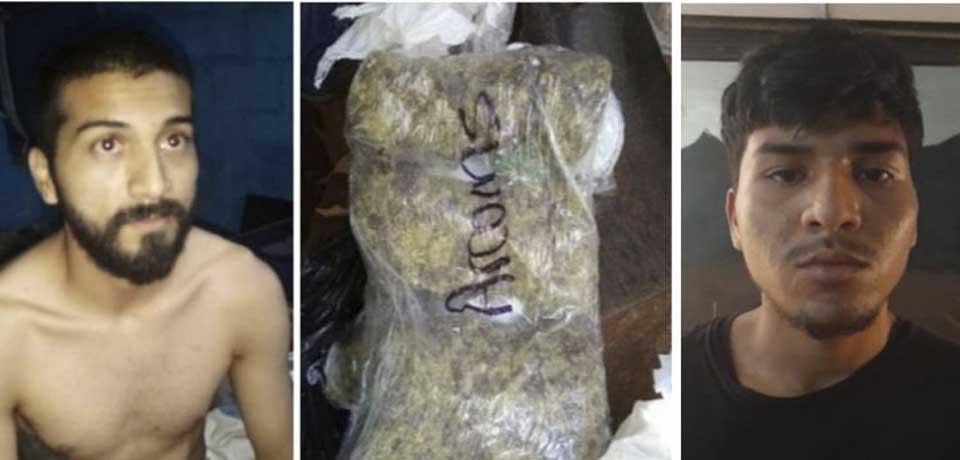 Caen colaboradores de la MS encargados de distribuir droga a nivel nacional
