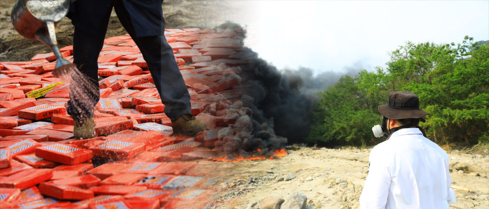 División Antinarcóticos de la PNC destruye droga incautada a colombianos valorada en más de $32 mil