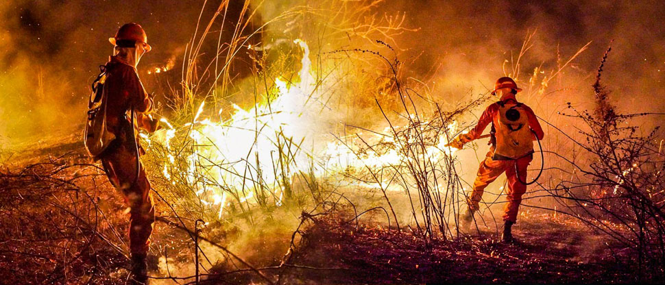 Bomberos unen esfuerzos para sofocar voraz incendio forestal en La Unión