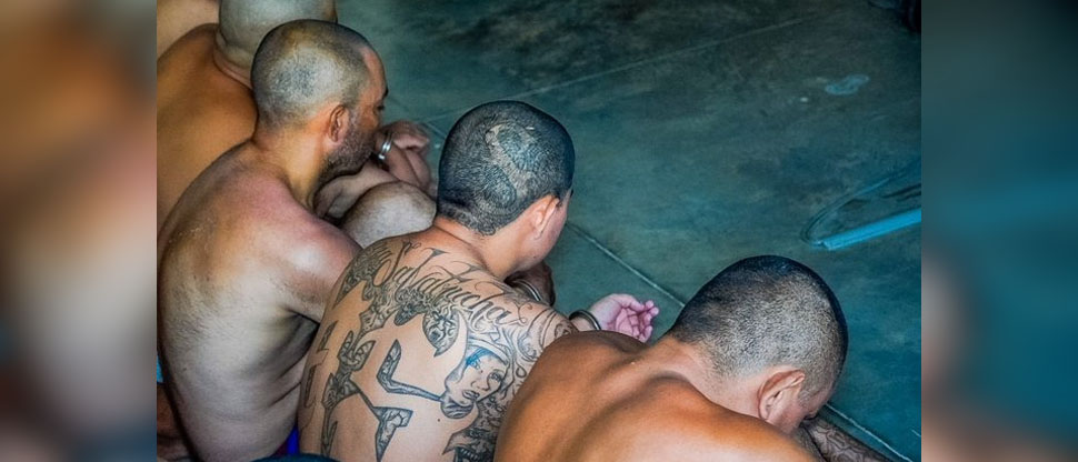 Fiscalía logra condenas de hasta 229 años de cárcel para pandilleros homicidas