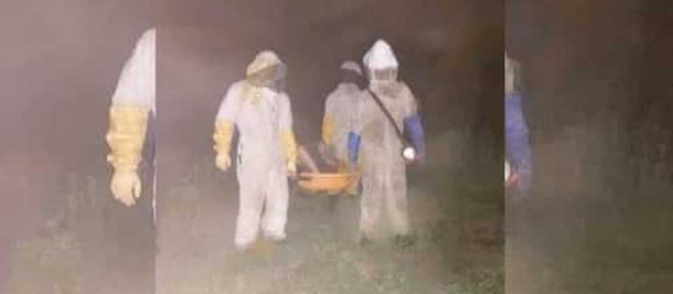 Fallece un anciano de 64 años tras ser atacado por unas abejas en Sonsonate