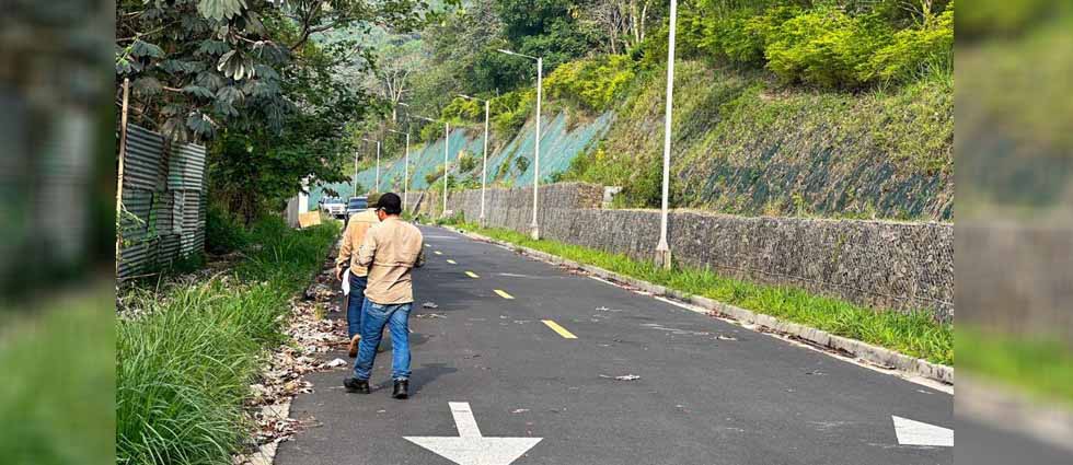 Reportan presencia de zorros y venados en zona residencial de Nuevo Cuscatlán