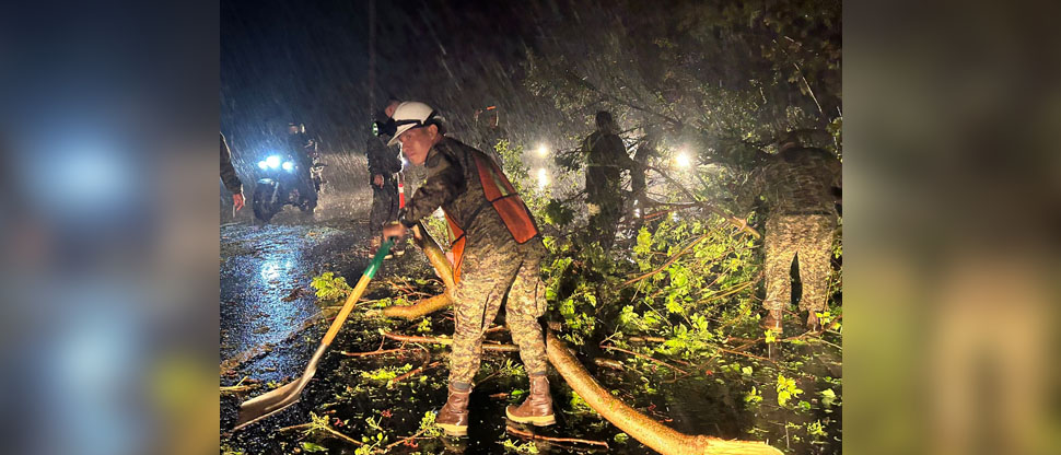 Autoridades retiran árboles caídos en viviendas y carreteras tras fuerte tormenta
