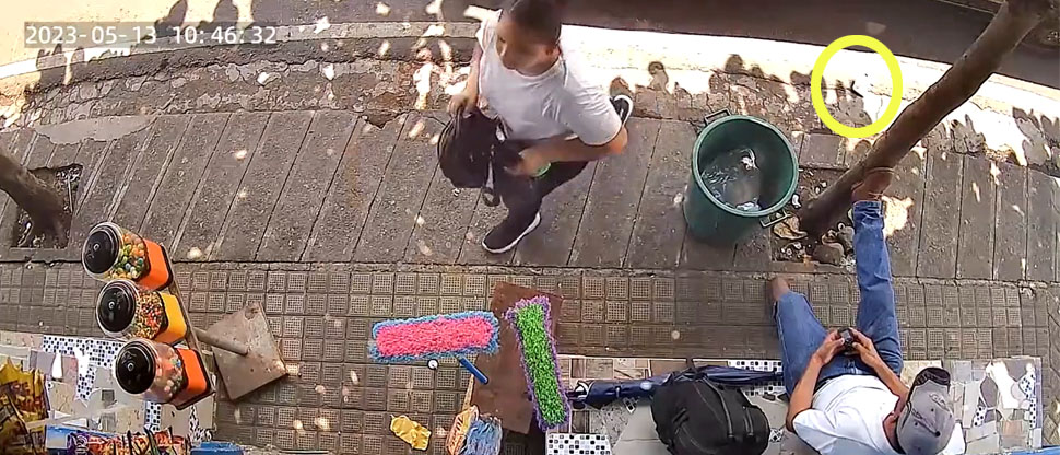 Cámaras de seguridad captan a hombre cuando roba un celular afuera de tienda en Morazán