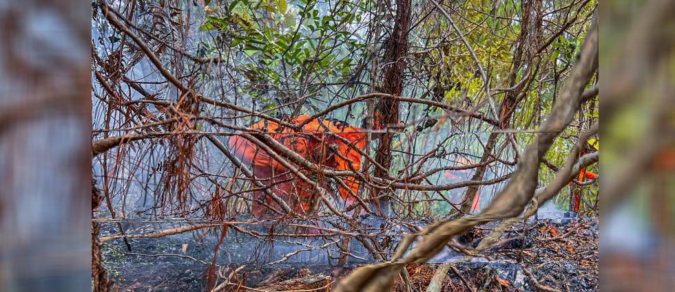 Sofocan incendio forestal en Chalatenango