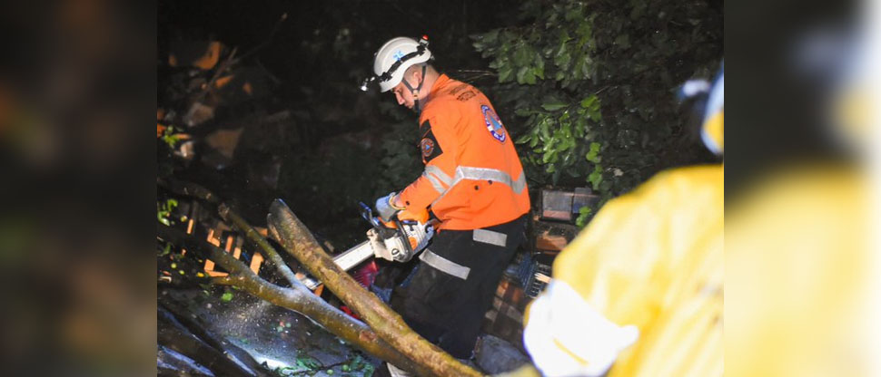 Protección Civil retira árbol derribado por la tormenta y que cayó sobre vivienda en San Vicente 
