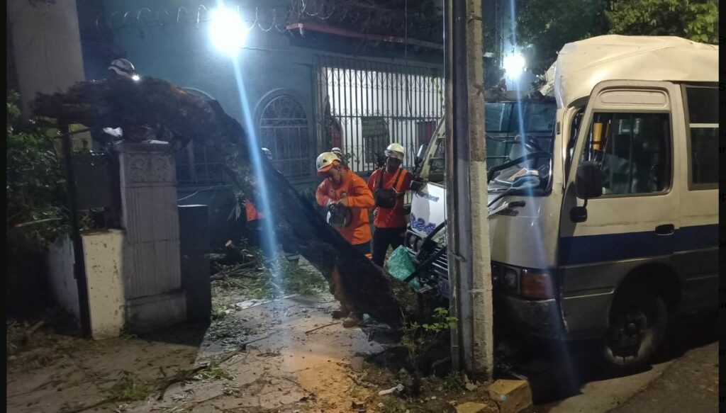 Microbusero se estrella contra un árbol y un poste en avenida España, San Salvador
