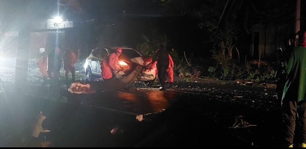 Árbol se desploma y cae sobre dos vehículos en San Miguel