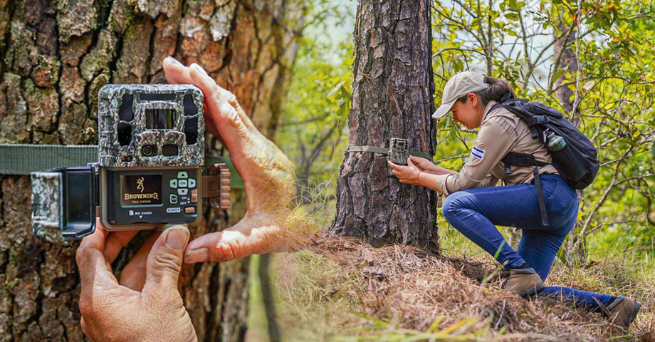 MARN amplia red de cámaras trampa en Áreas Naturales Protegidas
