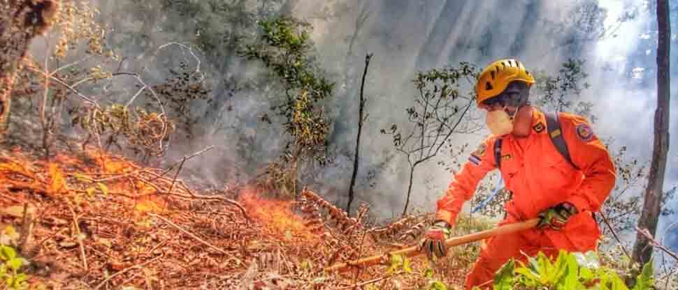Bomberos se especializan en el manejo y control eficiente de incendios forestales