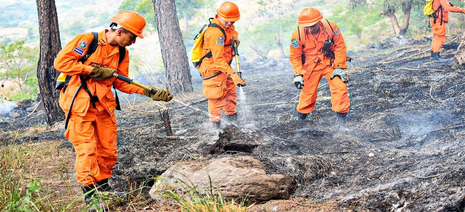 Bomberos sofoca incendio en San Vicente