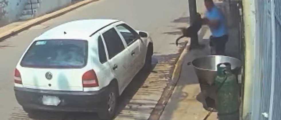 Hombre lanza a un perro en aceite hirviendo