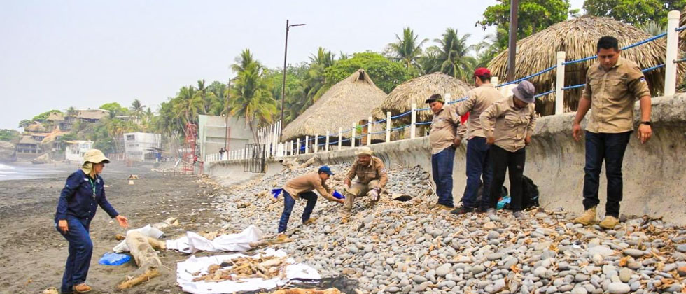 Guardarrecursos del MARN desarrollan jornada de limpieza en playas de la Libertad  