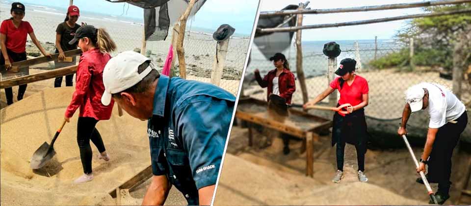 Ministerio de Medio Ambiente prepara vivero para protección de tortugas marinas