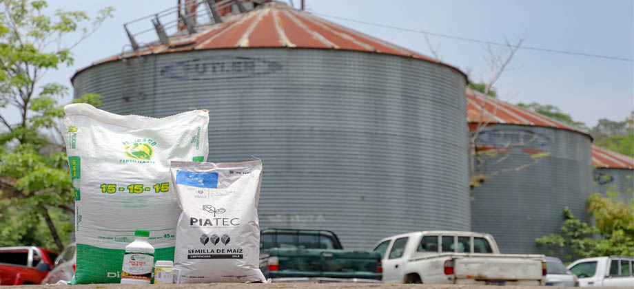 Realizan entrega de paquetes agrícolas en zona central del país