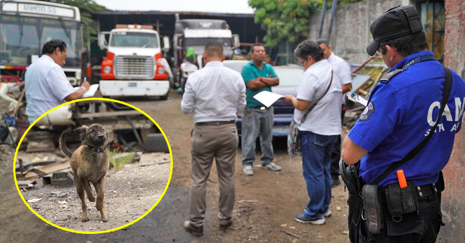 Sancionan a propietario de taller por tener amarrado a un perro en Santa Ana 
