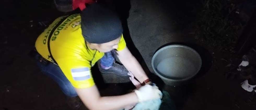 «No sabía que estaba embarazada»: Rescatan a recién nacido de una fosa séptica en La Libertad