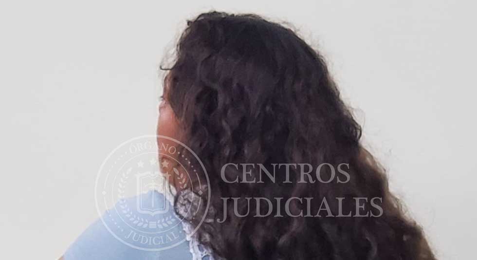 Dueña de perro deberá pagar $1,800 debido a que el animal mordió a niño mientras jugaba