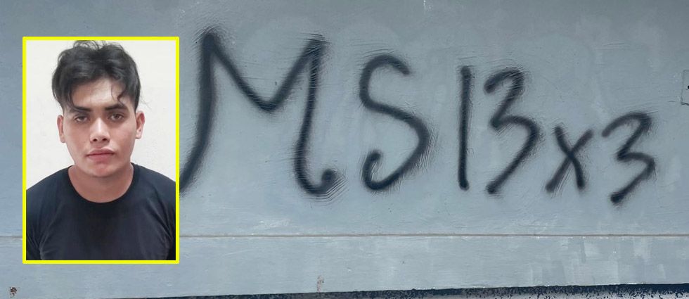 Capturan a terrorista mientras hacía un grafiti de la MS-13