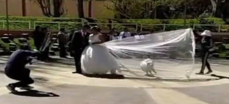 Perrito se roba velo de novia en plena sesión de fotos
