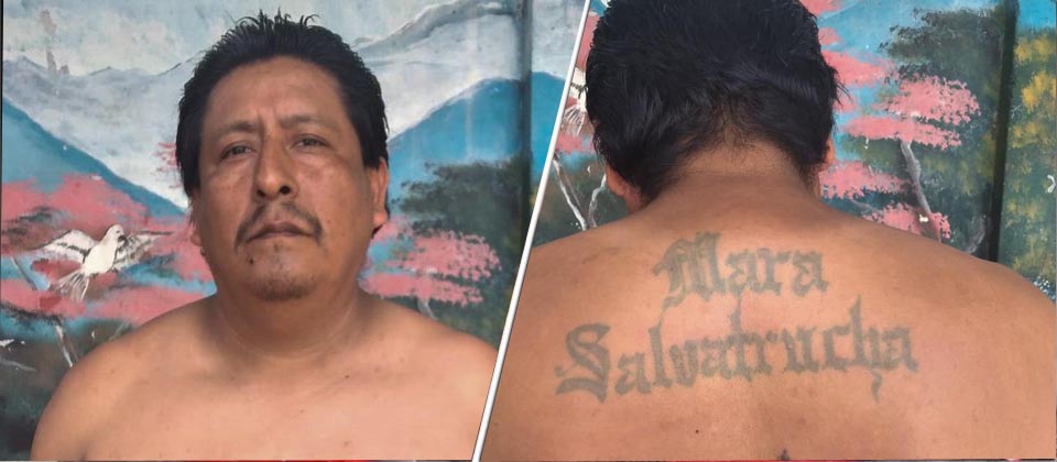 Detienen a veterano de la MS que se escondía del Régimen de Excepción