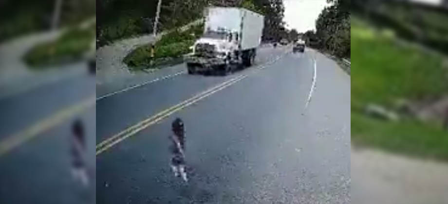 Motociclista embiste a niña y la salva de morir debajo de las llantas de rastra