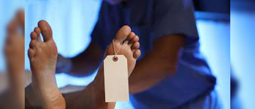 Jefe de la morgue de la universidad de Harvard, Estados Unidos, es acusado de vender restos humanos