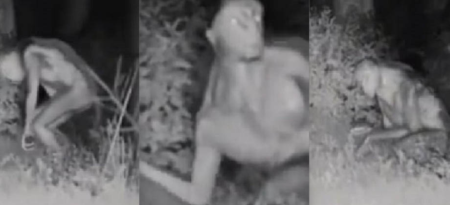 Desmienten video de supuesto extraterrestre en las Vegas