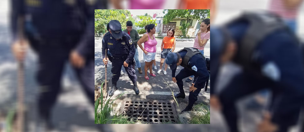 Rescatan a perrito que estaba atrapado en un tragante de aguas lluvias