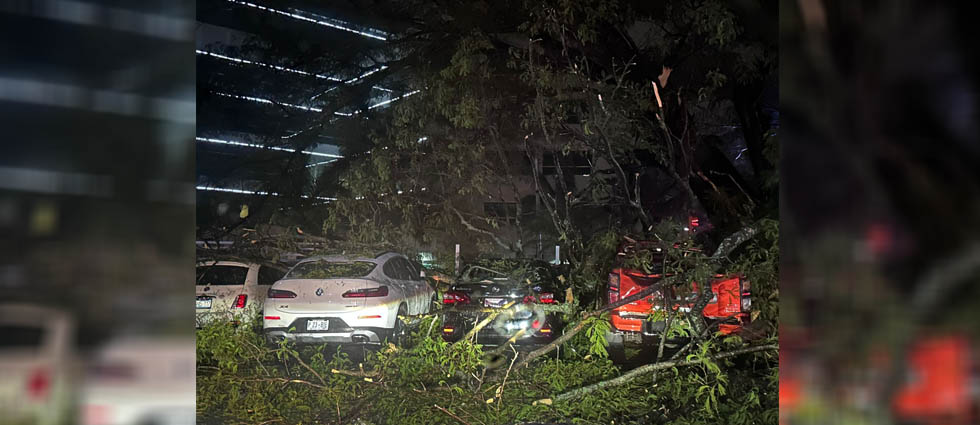 Ramas de árboles caen sobre vehículos estacionados en hotel de la colonia Escalón